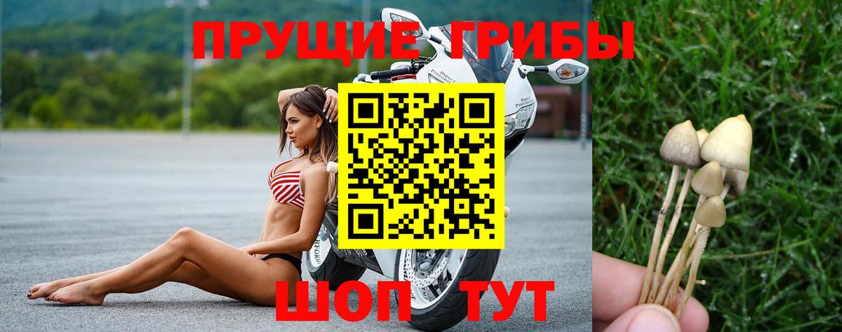 Псилоцибиновые грибы GOLDEN TEACHER  Вход с VPN  Сланцы 